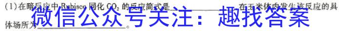 2024届山东省实验中学高三5月针对性考试数学