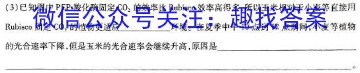 2024安徽省高三质量联合检测试卷（5月）数学