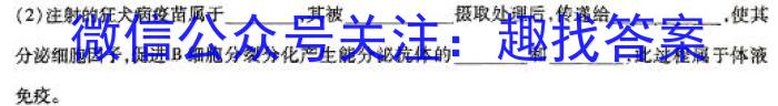 四川省高三年级2024年2月考试(正方形包黑色菱形)数学