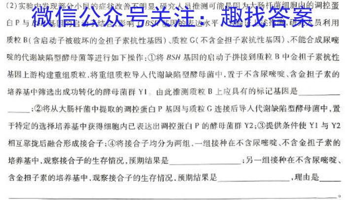 江西省南昌市西湖区2024-2025学年第一学期初一年级阶段分班卷数学