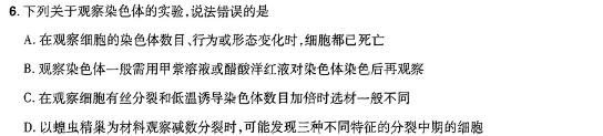 安徽省滁州市2024年九年级4月二模考试（104）生物学