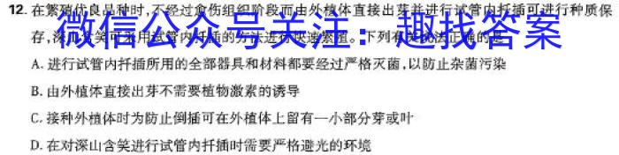 陕西省西安市陕西师范大学附属中学2023-2024学年下学期七年级开学收心作业数学