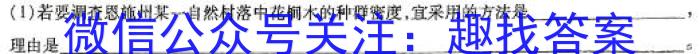 湖北省2024届高考模拟考试(三)3数学