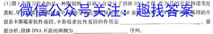 2024年河北省初中毕业生升学文化课考试（6）英语