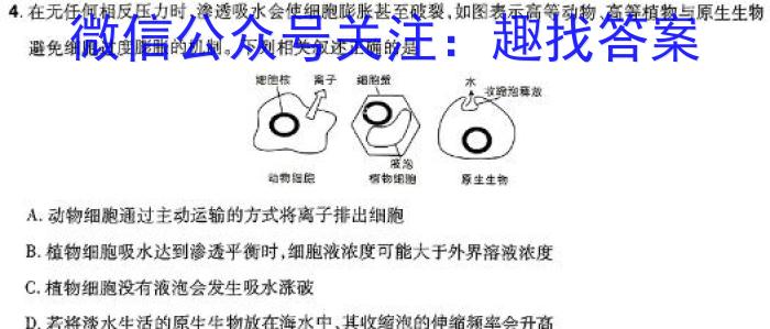 青桐鸣 2024届普通高等学校招生全国统一考试 青桐鸣大联考(高三)(1月)生物学试题答案