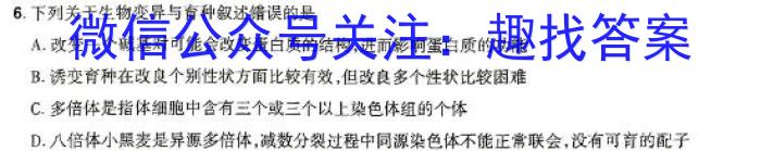 安徽省2024年九年级阶段调研（5.8）数学