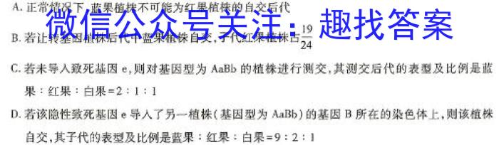 2024年广东省初中学业水平模拟联考(三)数学