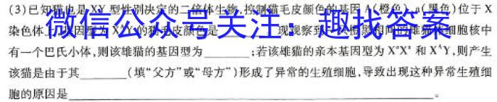 2023~2024学年核心突破XGKSD(二十七)27试题生物学试题答案