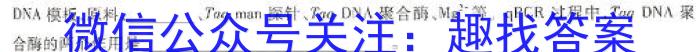 赤峰市高三420模拟考试(2024.04)数学