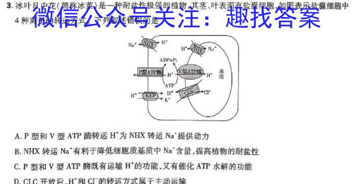 江西省2023-2024学年第二学期高一年级下学期期末联考生物学试题答案