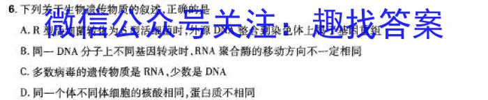 2024届武汉市高中毕业生四月调研考试2024.4.24数学