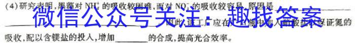 内蒙古2024年普通高等学校招生全国统一考试(第二次模拟考试)数学