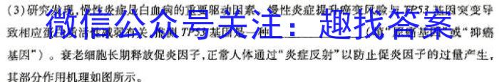 [太原二模]山西省太原市2024年高三年级模拟考试(二)2数学