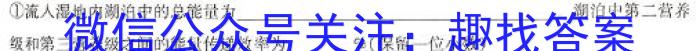 2024届河北省高三下学期第一次模拟考试24397C英语