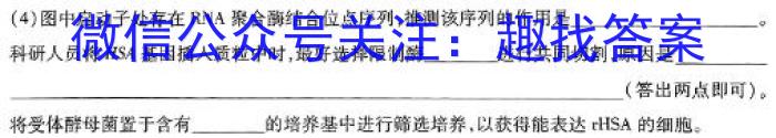 陕西省2023-2024学年度第二学期期中校际联考（高一）生物
