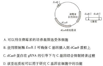 云南省期末模拟考试高一年级试卷(24-232A)生物