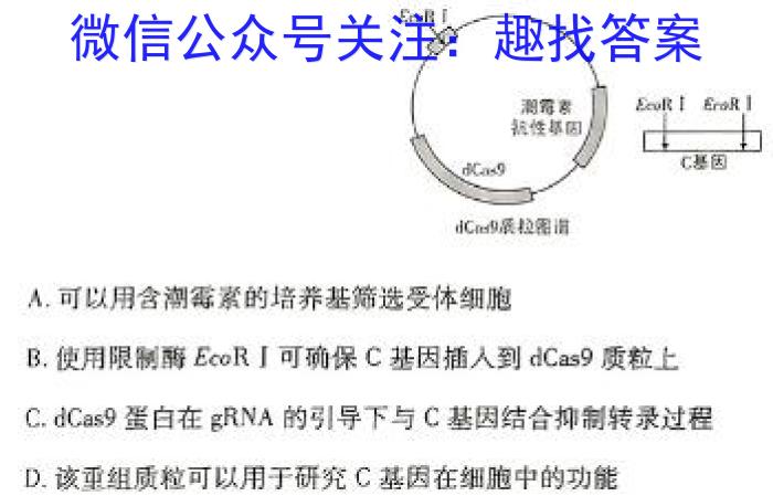 江西省2024届九年级结课评估5L