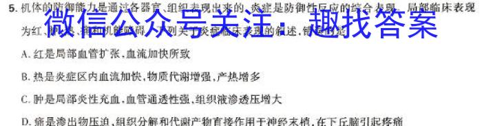 江西省2024届七年级第六次月考期中考试（长）数学