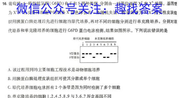 西安市2024年高三第二次质量检测数学