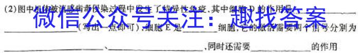 江西省2023~2024学年度八年级上学期期末综合评估[4L-JX]数学