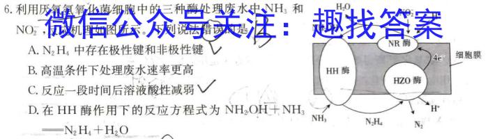 泉州一中、泉港一中等四校联盟2023-2021学年下学期期末考联考（高二年级）数学