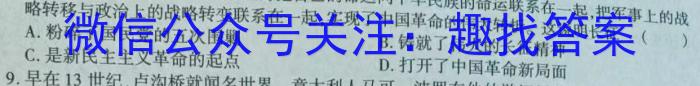 安徽省2024年1月份九年级质量检测试卷（24-CZ64c）历史