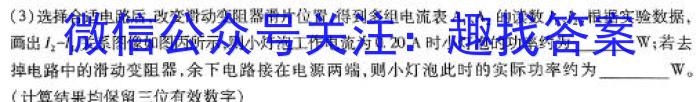 九师联盟 2024届高三押题信息卷(一)1物理试卷答案