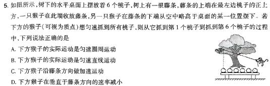 [今日更新]安徽省2023-2024学年度第二学期九年级作业辅导练习.物理试卷答案