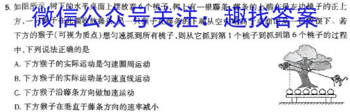 河北省高一年级2024年1月联考试卷物理`