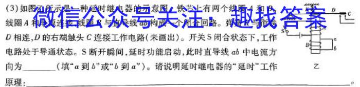 山东名校考试联盟2023-2024学年高二年级下学期期中检测物理试卷答案