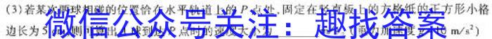 新疆兵地联盟2023-2024学年度高一年级第二学期期中考试物理试卷答案