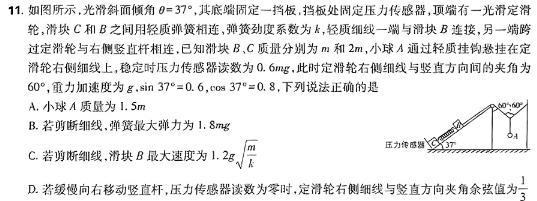 河北省2023-2024学年度八年级第二学期期中教学质量监测(24-CZ178b)(物理)试卷答案