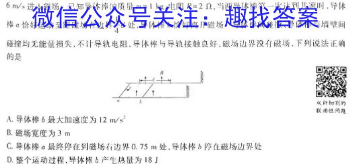 湖南省C13联盟2024年5月新中考仿真卷物理试题答案