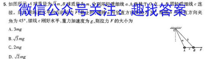 山西省2023~2024学年度八年级下学期阶段评估(二) 7L R-SHX物理试题答案