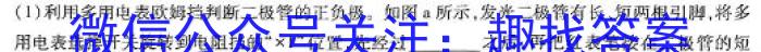 曲靖市2023-2024学年高三年级第二次教学质量监测物理`