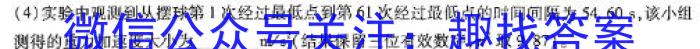 2024届衡水金卷先享题[调研卷](重庆专版)五f物理