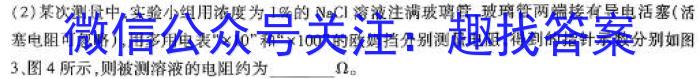 河南省2023-2024学年八年级下学期阶段性质量检测（四）物理试题答案