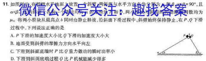 安徽省2024-2025学年九年级开学考物理试卷答案