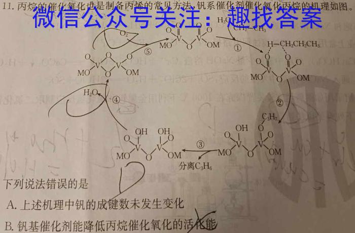 厚德诚品 湖南省2024年高考冲刺试卷(一)数学