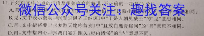 安徽省2024年九年级万友名校大联考试卷一/语文