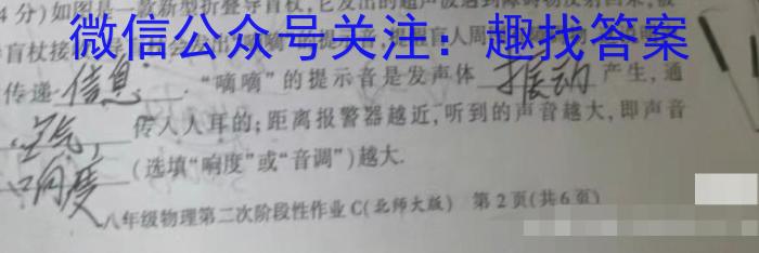 炎德英才大联考 湖南师大附中2023-2024学年度高一第二学期期中考试物理试卷答案