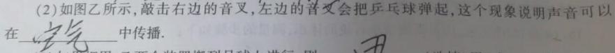 [今日更新]衡中同卷 2023-2024学年度上学期高三年级期末考试.物理试卷答案