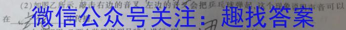 河南省泌阳县2023-2024学年度下期八年级期中素质测试题物理