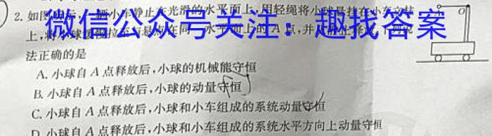 安徽六校教育研究会2024级高一新生入学素质测试物理试卷答案