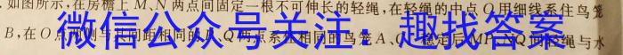 青桐鸣·2024年普通高等学校招生全国统一考试 青桐鸣押题卷一（新教材）物理试卷答案