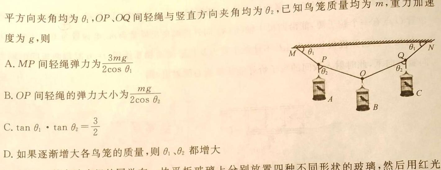 [今日更新]河南省洛阳市2023-2024学年高一第一学期期末考试.物理试卷答案