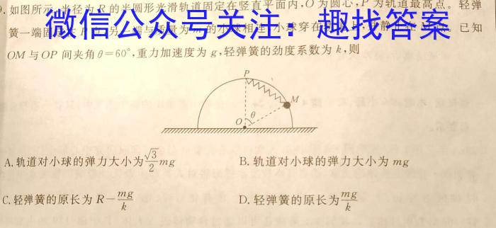 河北省沧州市2024届普通高中高三总复习质量监测物理试卷答案