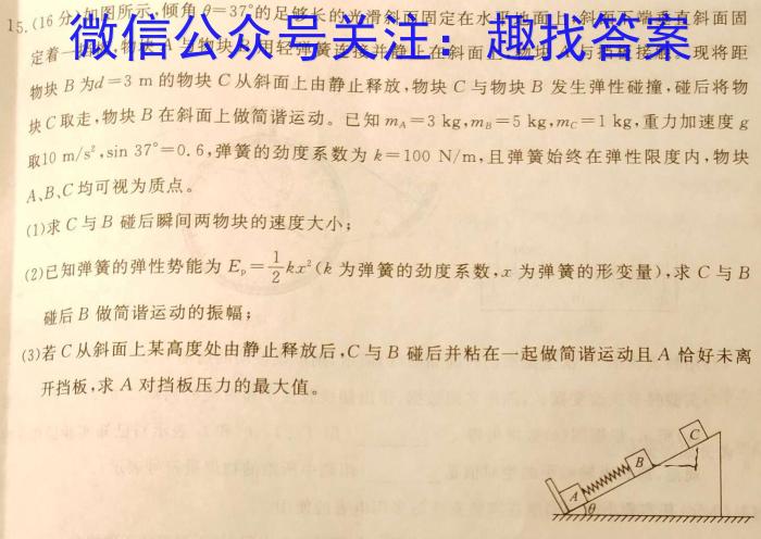 安徽省合肥市经开区2024年九年级学情调研试卷（二）物理`