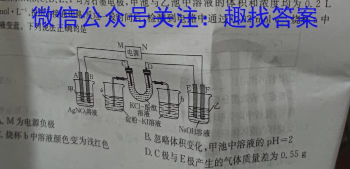 2024年河北省初中毕业生升学文化课模拟测评（四）数学