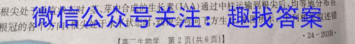 2024年毕节市高一年级期末联考生物学试题答案